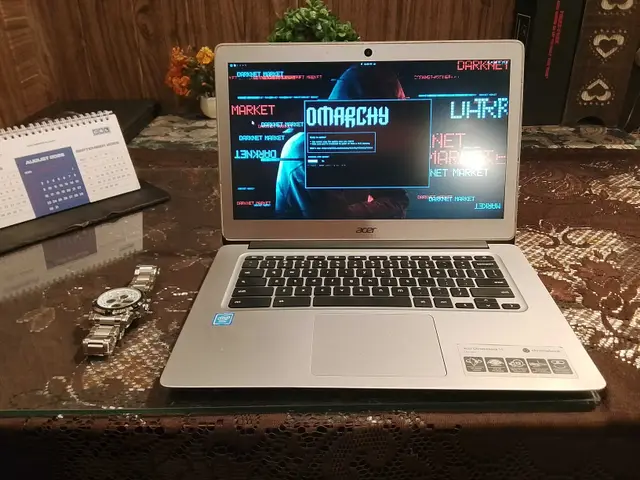 The Acer Chromebook 14 (CB3-431)